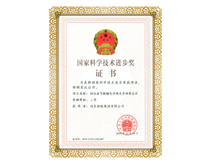 国家科学技术进步奖