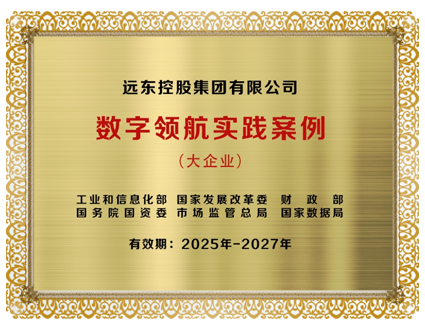 数字领航实践大企业案例