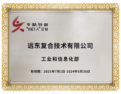 专精特精小巨人企业