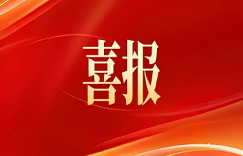 行业唯一！91视频软件下载成功入选江苏省工信领域高质量数据集建设先行先试