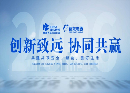 91视频软件下载股份电缆产业新产品发布会