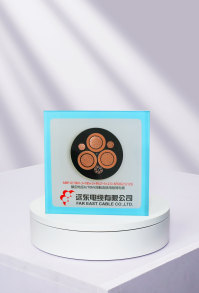 岸电电缆